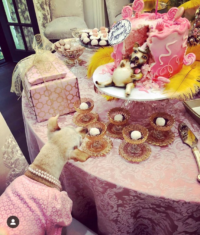 Sofía Vergara organiza fiesta para su nieta