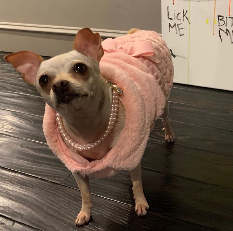 Sofía Vergara organiza fiesta para su nieta
