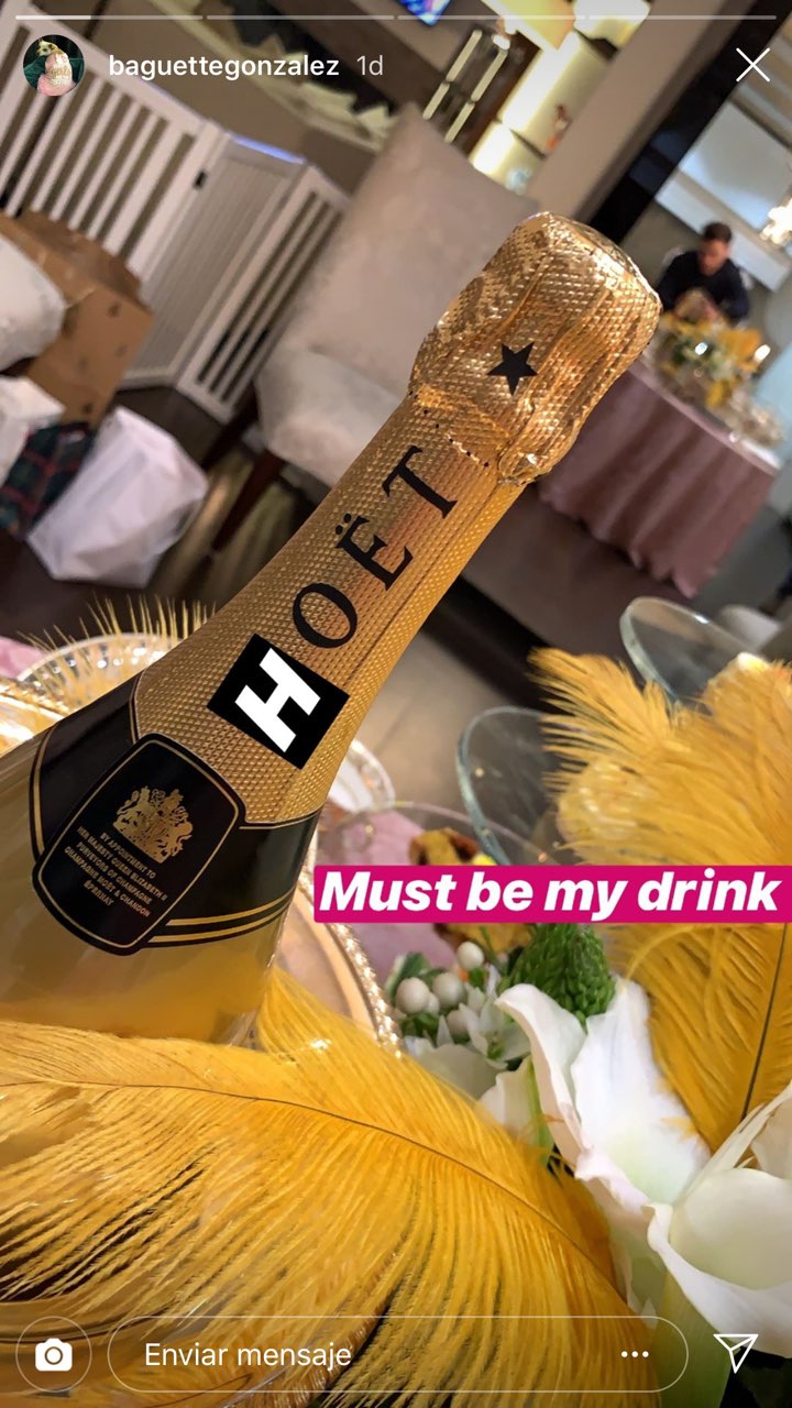 Sofía Vergara organiza fiesta para su nieta