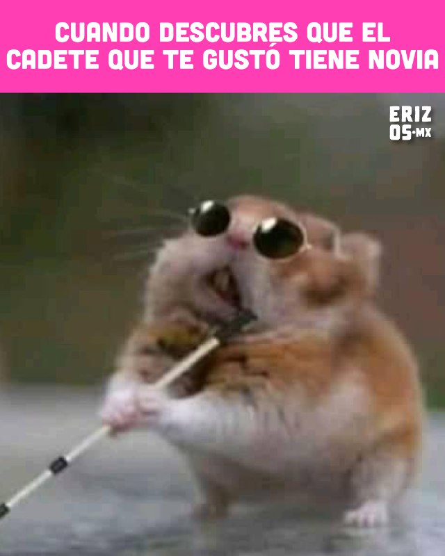 Filtran supuesto pack de Cadete