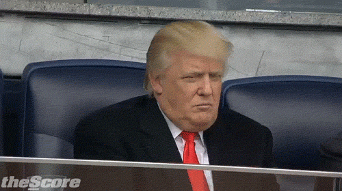 Donald Trump arruina navidad a niño