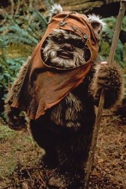ewok, hombre ideal, adopta un chico