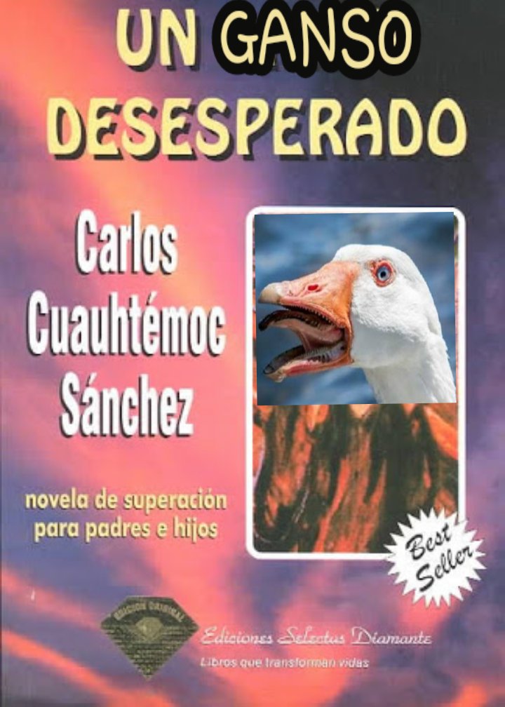 Los mejores títulos del Libros con Ganso
