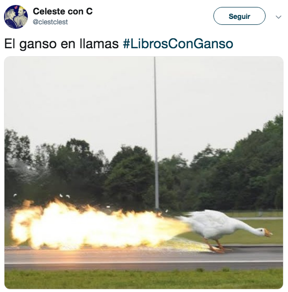 Los mejores títulos del Libros con Ganso