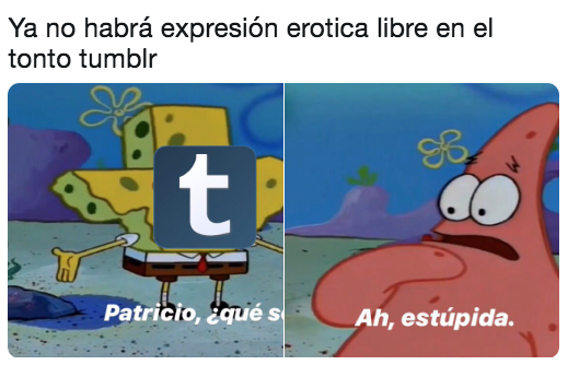 Memes porque quitaron porno de Tumblr