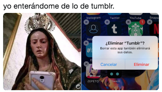 Memes porque quitaron porno de Tumblr