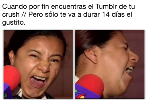 Memes porque quitaron porno de Tumblr