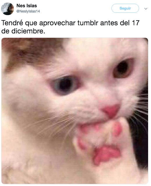 Memes porque quitaron porno de Tumblr