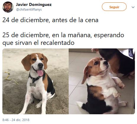 Memes recalentados para sobrevivir la cruda navidad