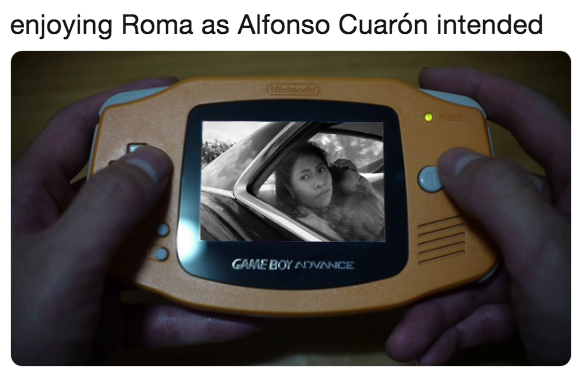 Memes de Roma de Cuarón