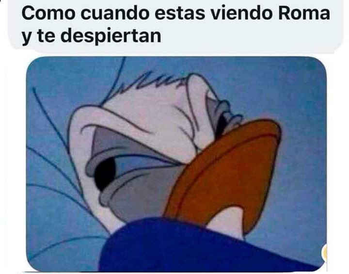 Memes de Roma de Cuarón