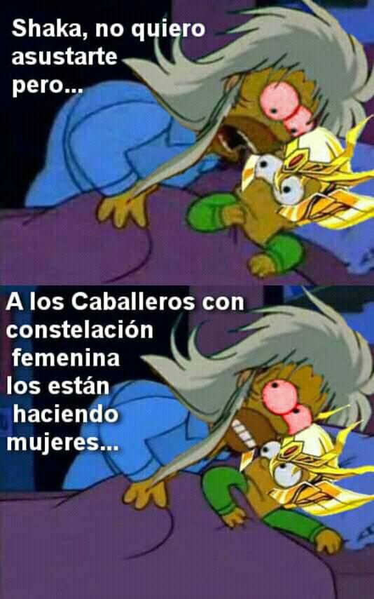 Memes porque Shun ahora es mujer
