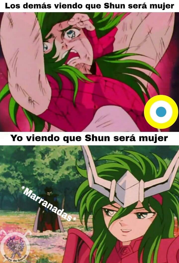 Memes porque Shun ahora es mujer