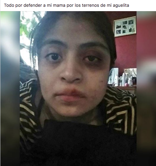 Memes de los terrenos de la abuela