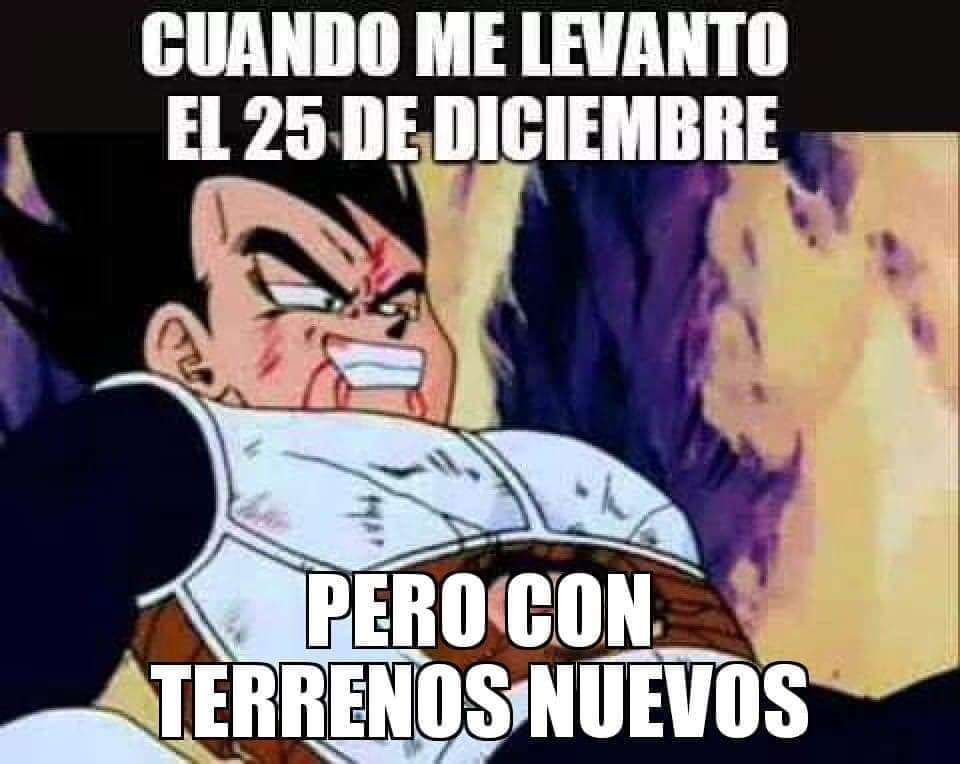 Memes de los terrenos de la abuela