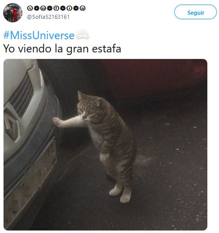 Memes Mis Universo 2018 sin Ángela Ponce