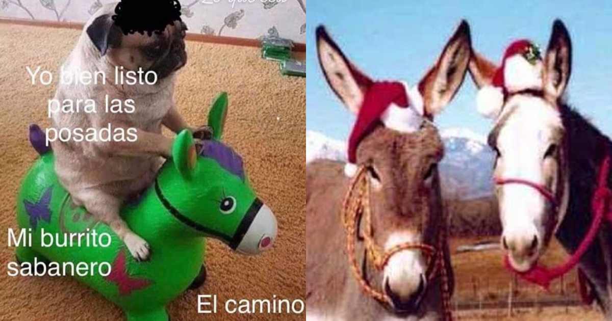 El origen del burrito sabanero