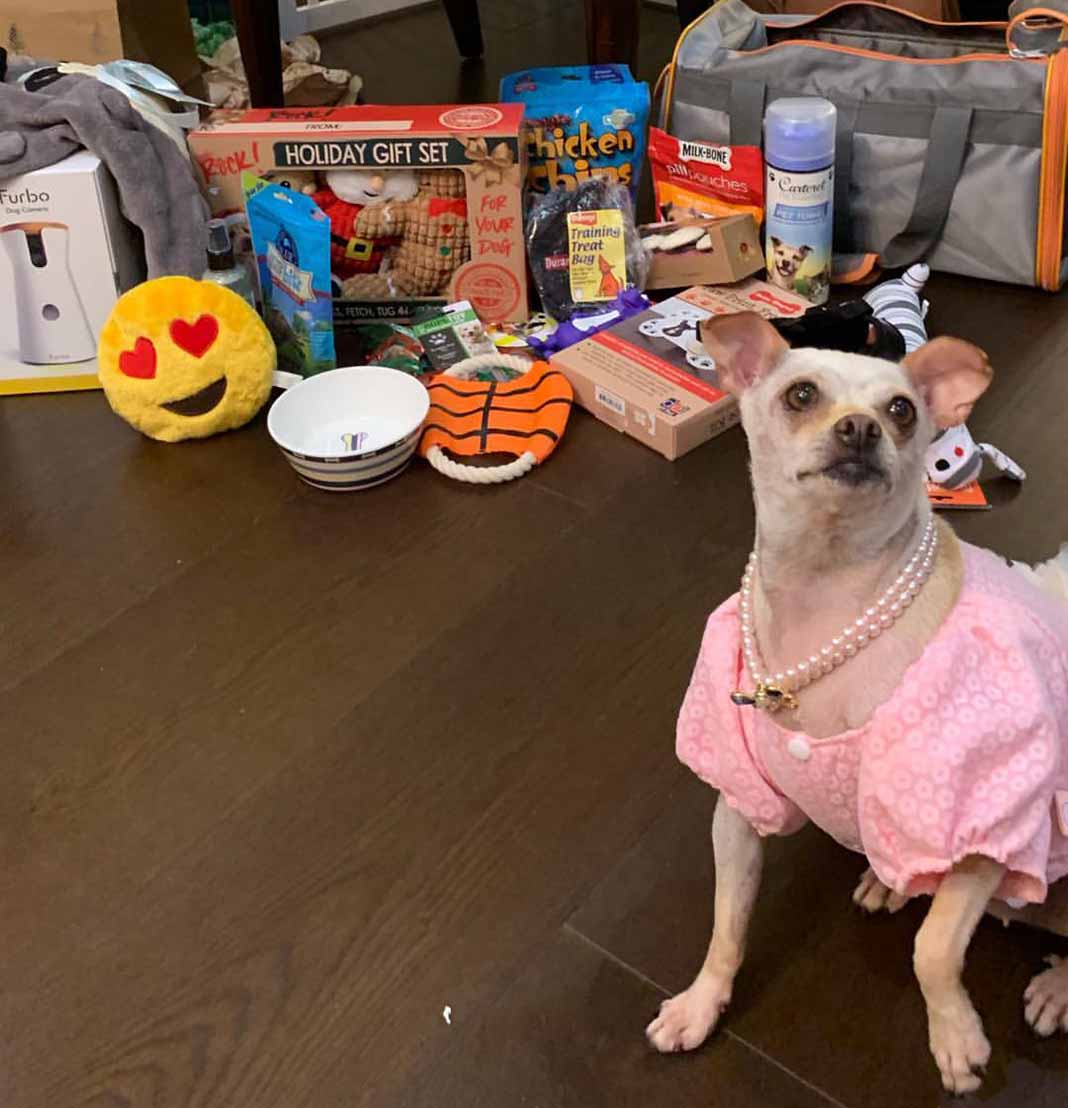 La extravagante fiesta que Sofía Vergara organizó para su nieta