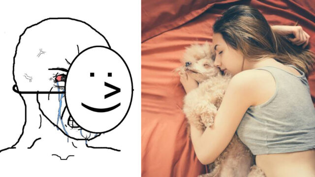 Mujeres duermen mejor con sus mascotas que con sus novios