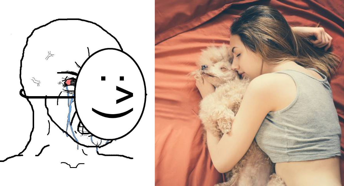 Mujeres duermen mejor con sus mascotas que con sus novios