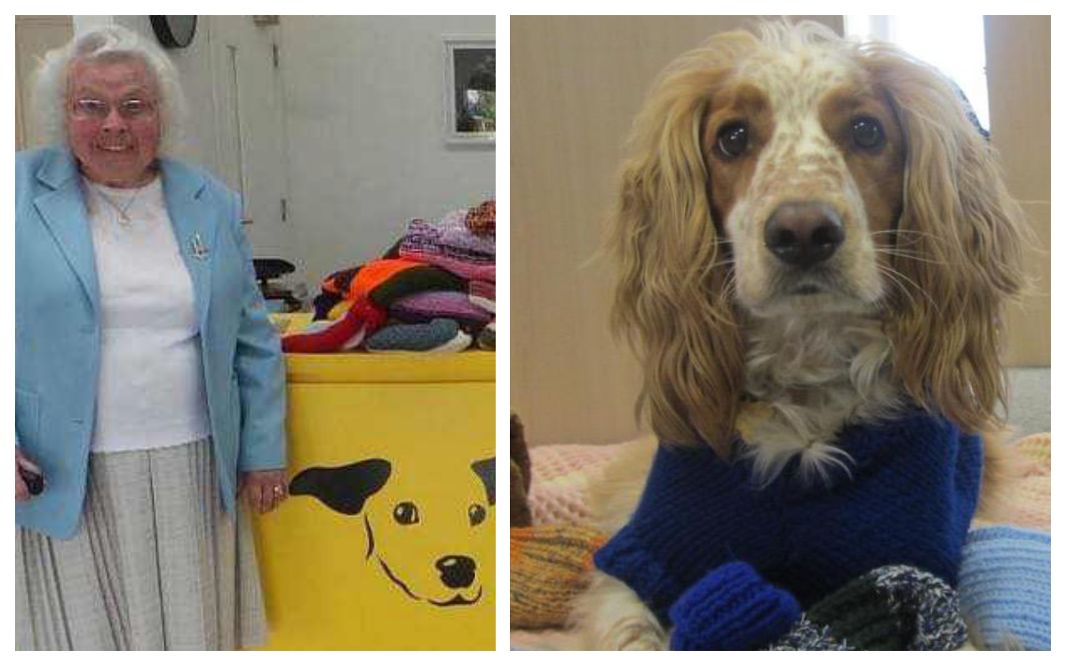 Abuelita tejió mas de 400 sweaters para perritos abandonados