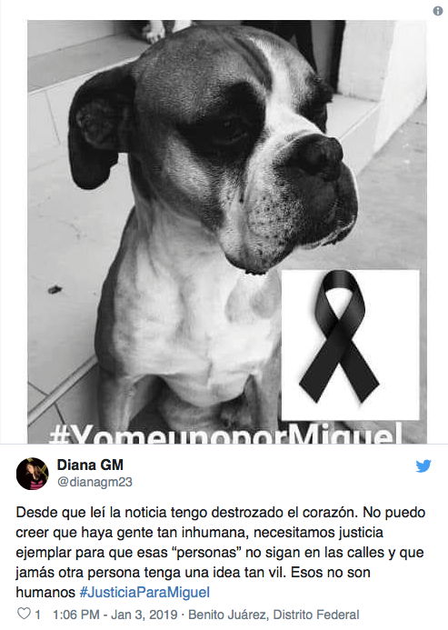 Perrito fue asesinado con cohetes y el pueblo exige justicia
