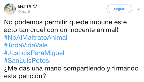 Perrito fue asesinado con cohetes y el pueblo exige justicia
