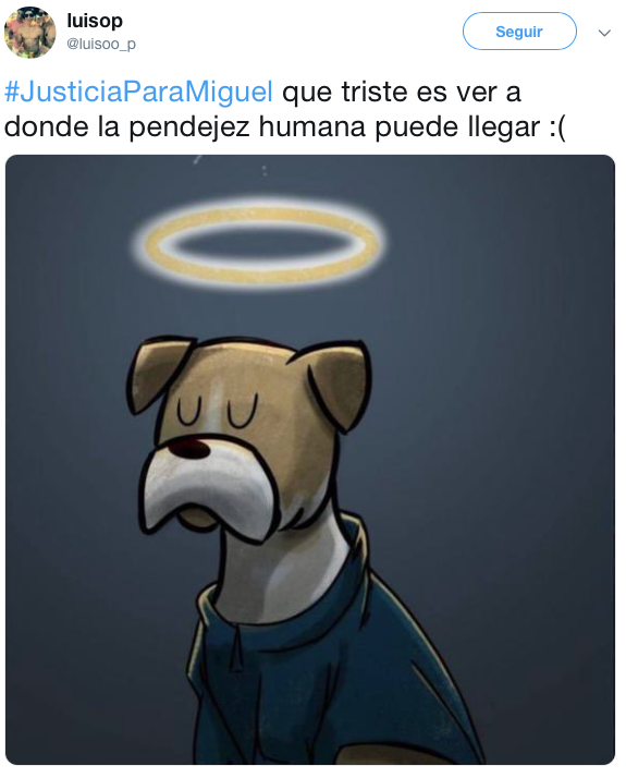 Perrito fue asesinado con cohetes y el pueblo exige justicia