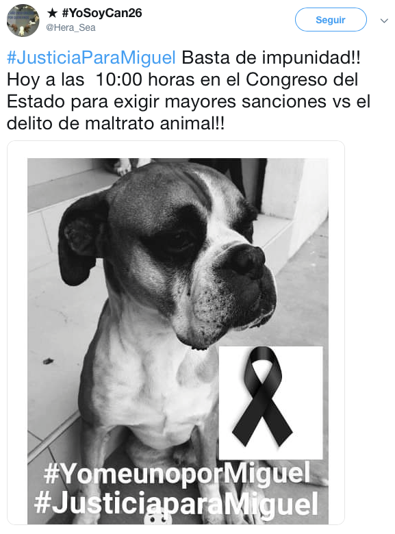 Perrito fue asesinado con cohetes y el pueblo exige justicia