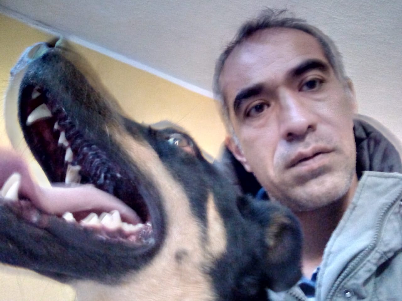La historia detrás de Borras el perrito de Roma