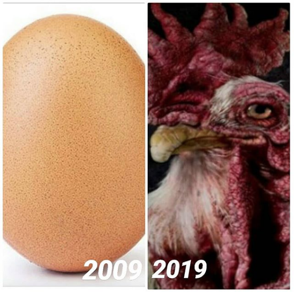 Mejores memes 10 year challenge
