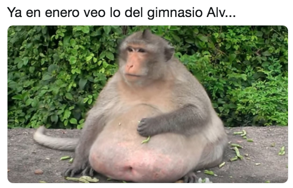Memes del gimnasio en año nuevo