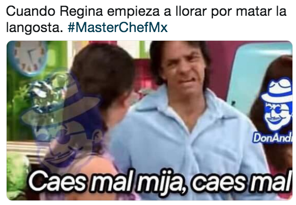 Memes de semifinal de MASTERCHEF