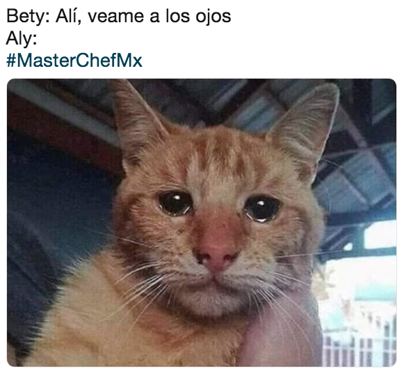 Memes de semifinal de MASTERCHEF