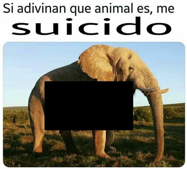 Memes para entender qué es el Blue Monday, el día más triste