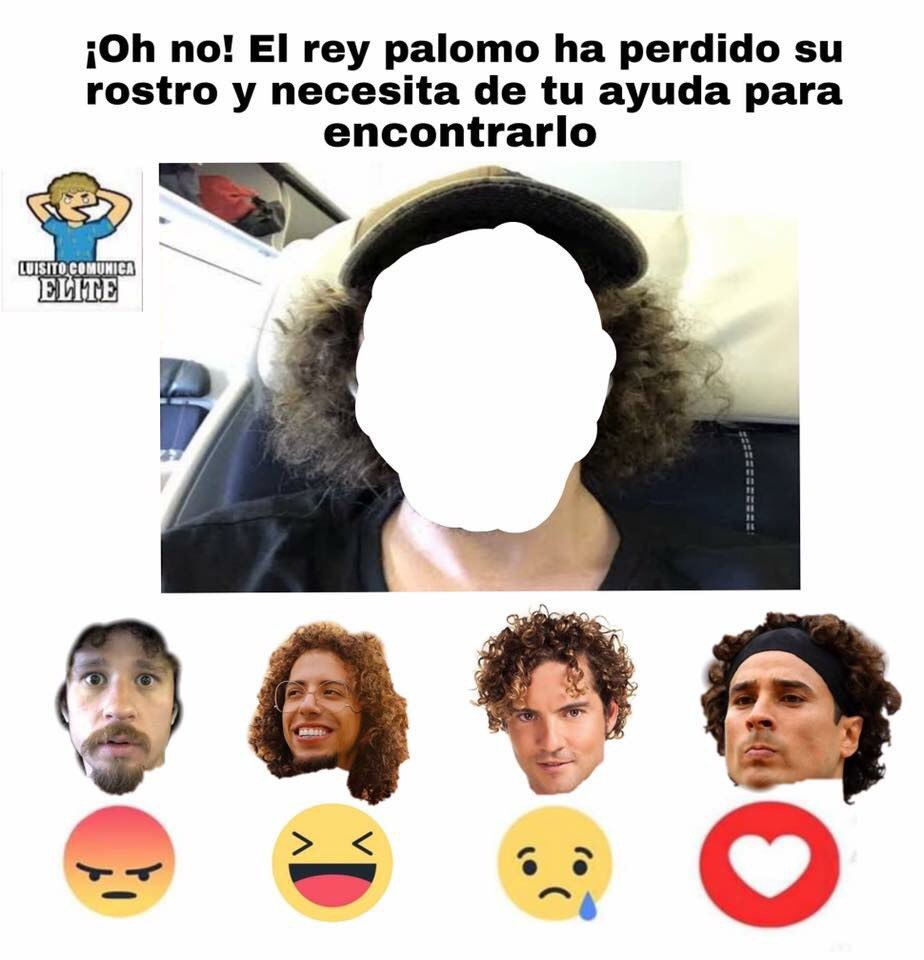 Memes Perdió la cara
