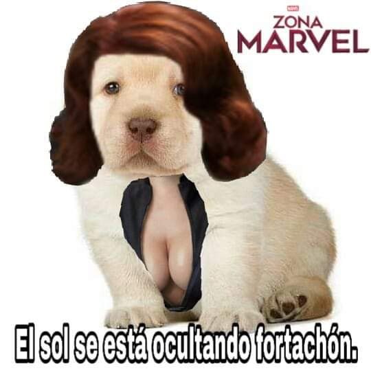 Memes del perrito triste