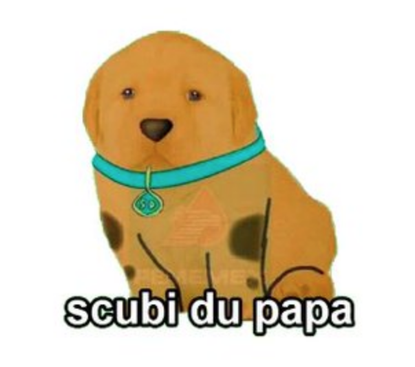 Memes del perrito triste
