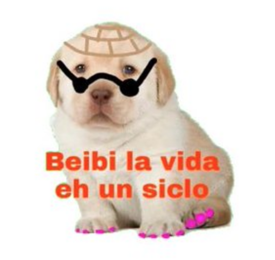 Memes del perrito triste