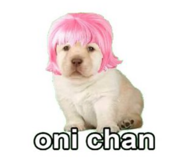 Memes del perrito triste