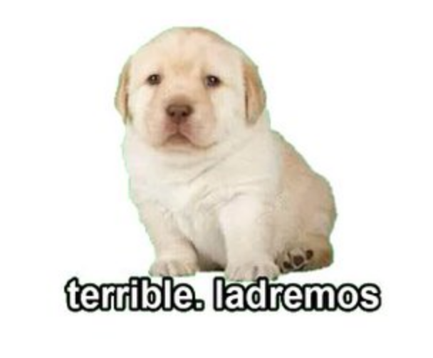 Memes del perrito triste