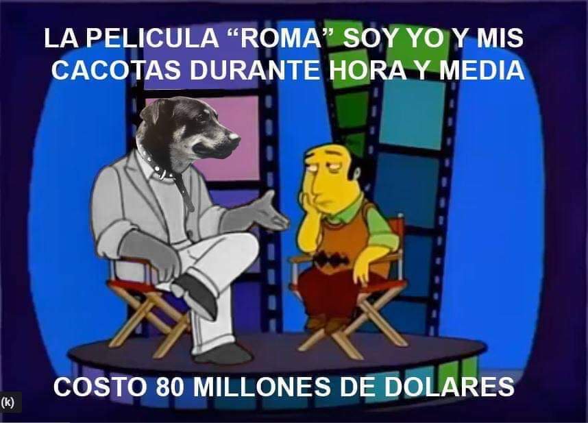 Piden nominaciÃ³n para Borras el perrito de Roma