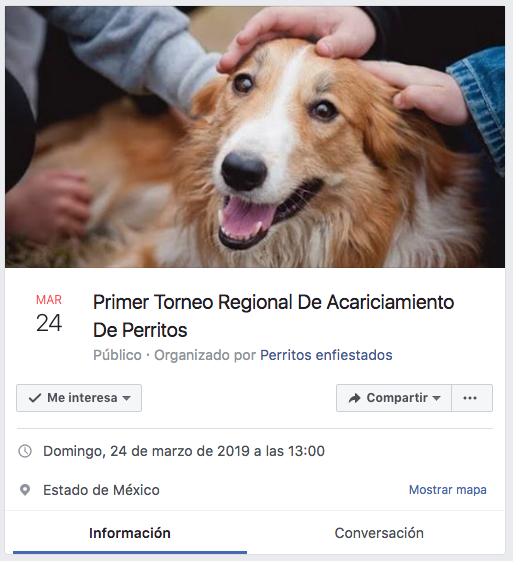 Organizan primer torneo regional de acariciamiento de perritos