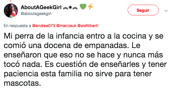 Regresan a perrito adoptado por robar comida de la mesa