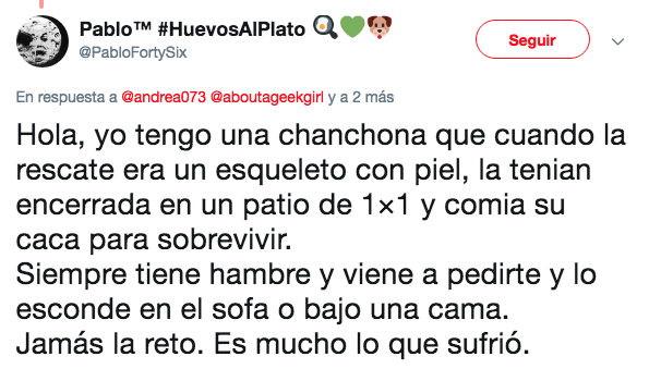 Regresan a perrito adoptado por robar comida de la mesa
