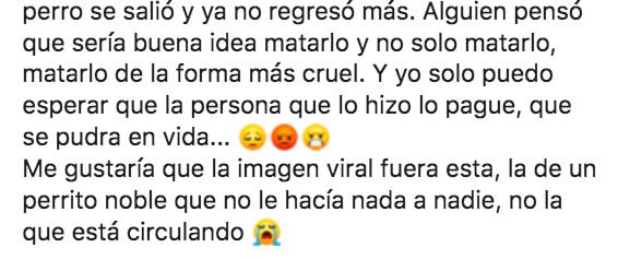 Perrito fue asesinado con cohetes y el pueblo exige justicia