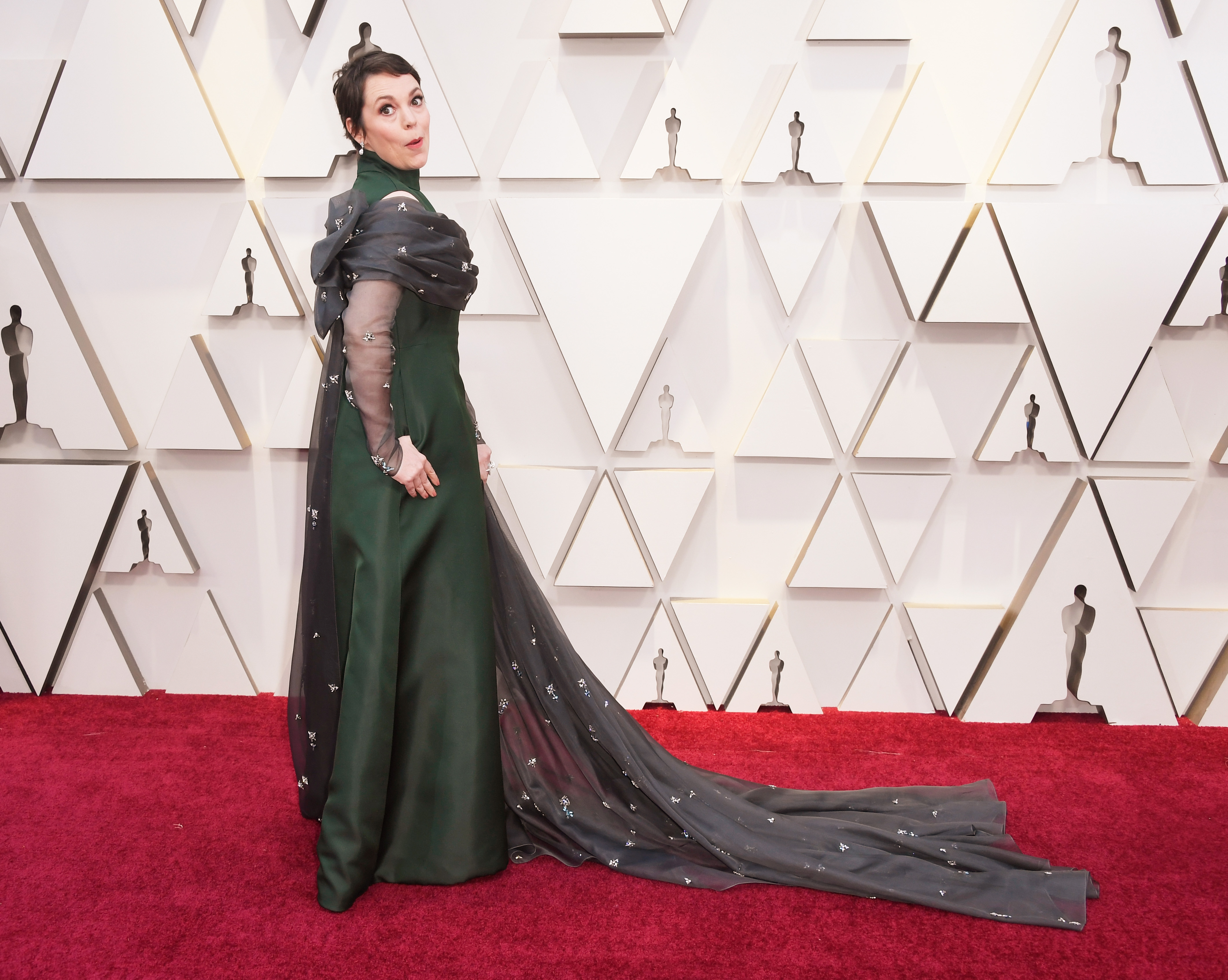 Alfombra roja premio Oscar 2019