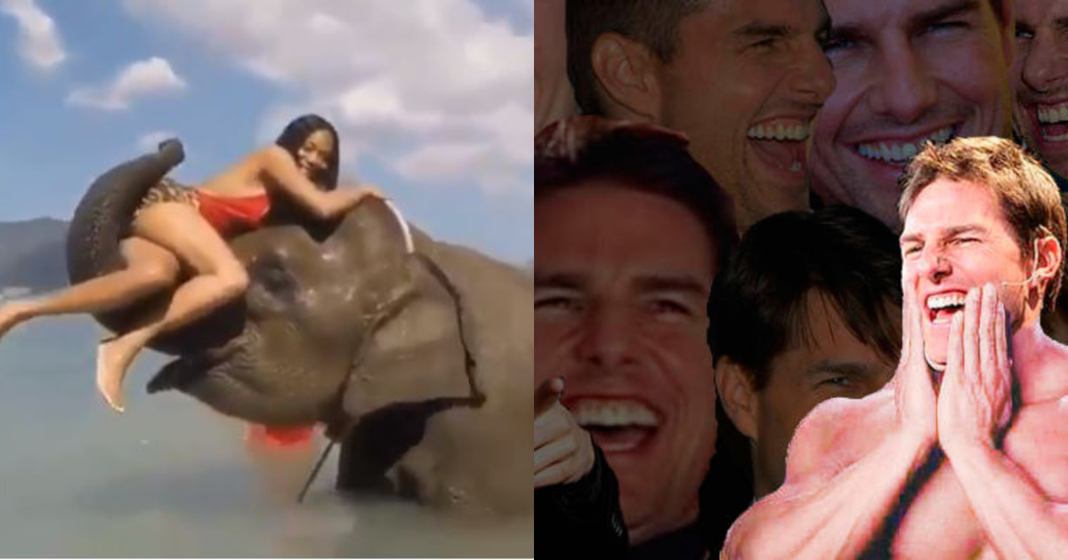 Elefante Tira Persona Intentaba Tomarse Foto Con Él, Elefante Tira Persona Divertido, Elefante, Persona, Tira, Video