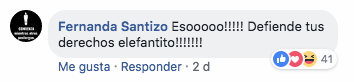 Elefante tira persona