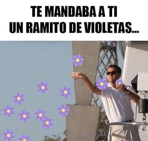 Historia detrás "Ramito de violetas" con memes 14 de febrero